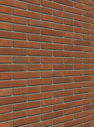 Aqua Roodpaars WF (op aanvraag)