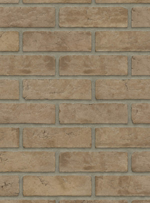 Grijs z.z. HV EF / DR41B