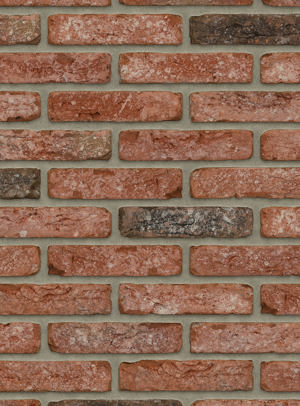 Cheyenne HV WF / RC209