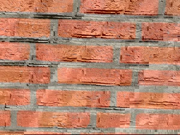 Best (NL) - Virgo WF HV (2021)