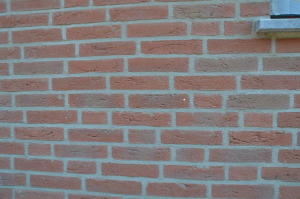 Barendrecht (NL) - Roodpaars HV WF 