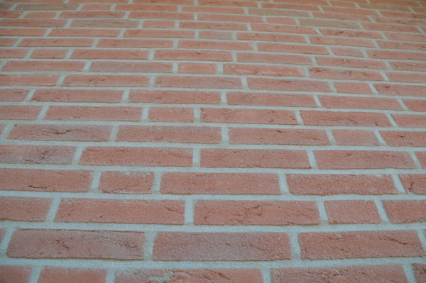 Barendrecht (NL) - Roodpaars HV WF 