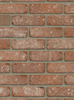 Dakota VB EF / RC128