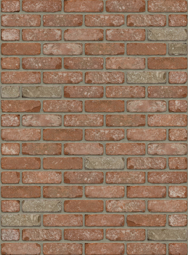 Kentucky VB EF / RC134