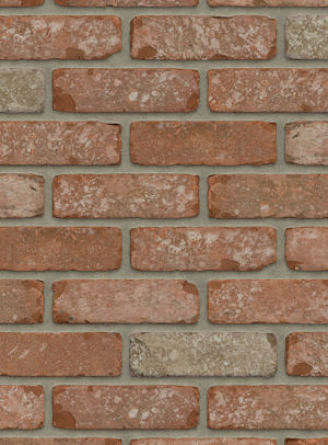 Kentucky VB EF / RC134