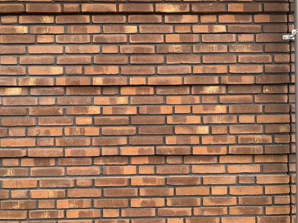 Aqua Bruin Geel Kameleon collectie