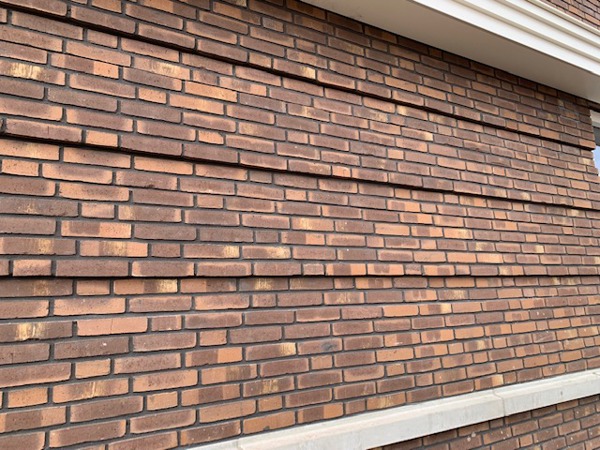 Aqua Bruin Geel Kameleon collectie