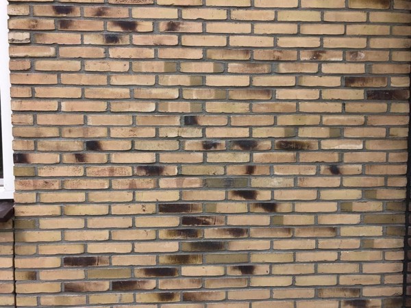  Aqua Geel Bruin WF Kameleon collectie