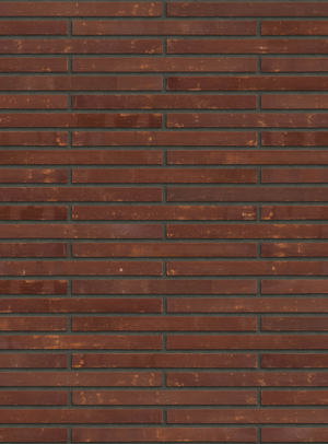 Corso Terra Rolled Praga - PG (S.Anselmo)