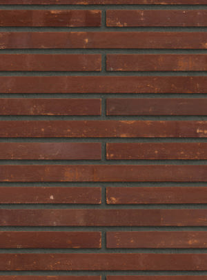 Corso Terra Rolled Praga - PG (S.Anselmo)