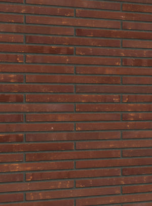 Corso Terra Rolled Praga - PG (S.Anselmo)