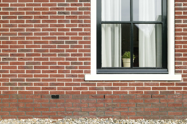 Wijdenes (NL) - Bommels Bont WF HV 2008