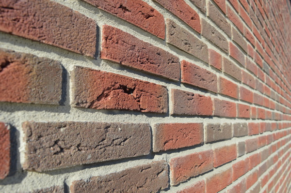 Poeldijk (NL) - Bommels Bont HV WF Redux