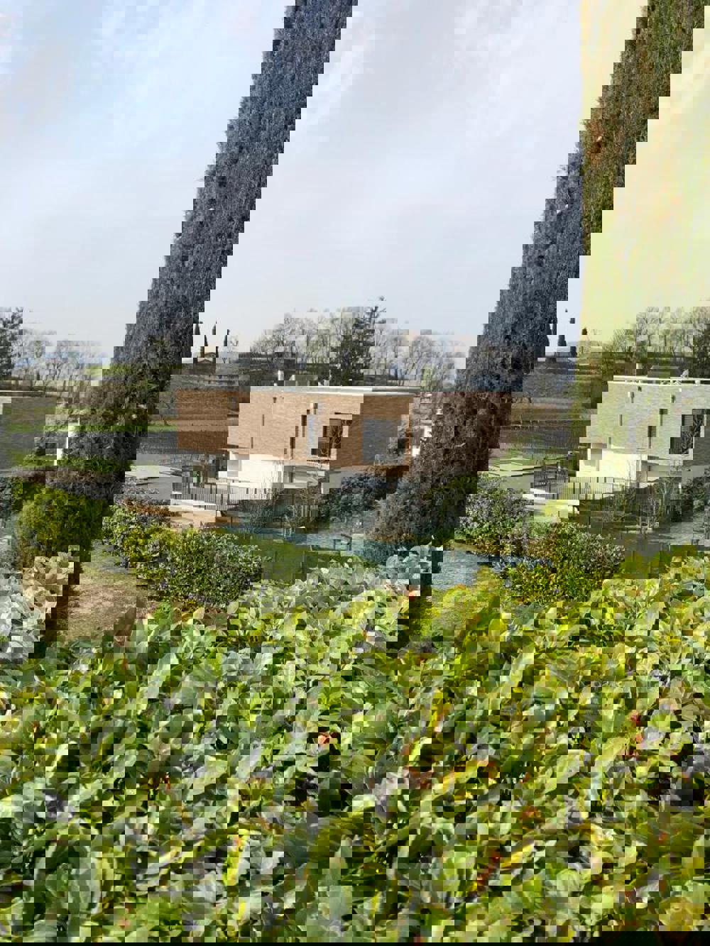 Zwitserland - Corso Terra Dragwire Vintage - VTB (S.Anselmo) - 905