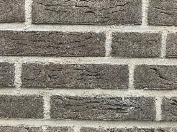 Den Bosch (NL) - Grijs z.z. HV WF