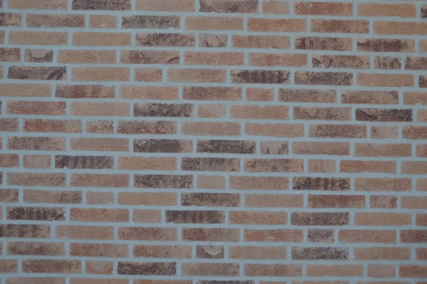  Oud Gastel (NL) - Auriga HV WF