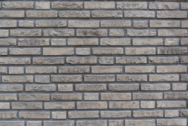 Vlijmen (NL) Lepus WF HV - Sculptor WF HV 2019