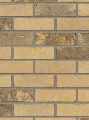 Draco HV EF / DR201B 