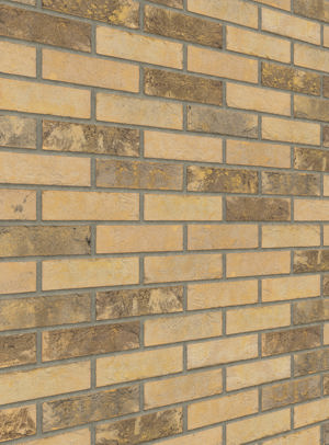 Draco HV EF / DR201B 